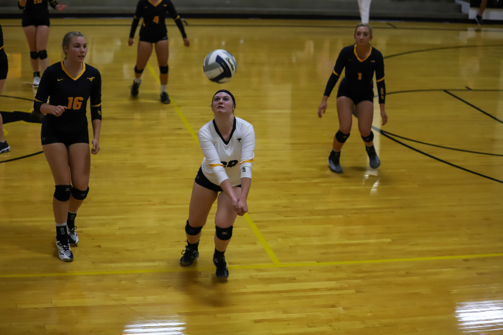 Volleyball (110).JPG